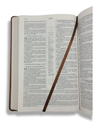 Imagen 6 de 10 de Biblia De Estudio Scofield 1960 Imit Piel Verde Con Cafe