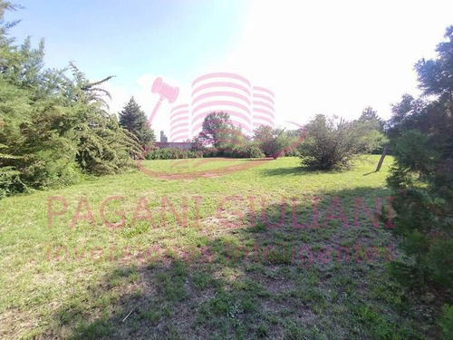 Imagen 2 de 11 de (cod 605) Excelente Terreno En Venta En V Parque Siquiman