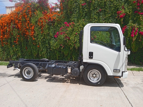 Isuzu Elf 100 2022 1.5 Toneladas 4 Cilindros Diesel