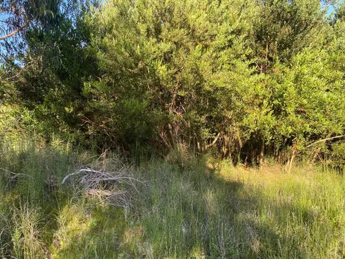 Venta De Terreno En La Esmeralda-rocha. Ref 749.