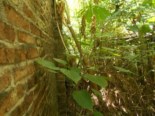 Terreno En Venta En Muñiz