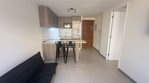 Departamento Amoblado En Arriendo 1 Dormitorio Laguna Centro