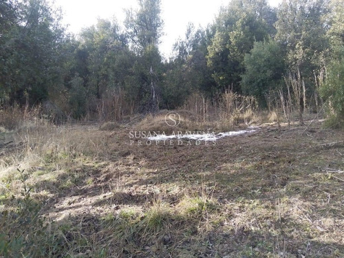 Imagen 7 de 30 de Susana Aravena Propiedades-lote En Venta En Vallescondido