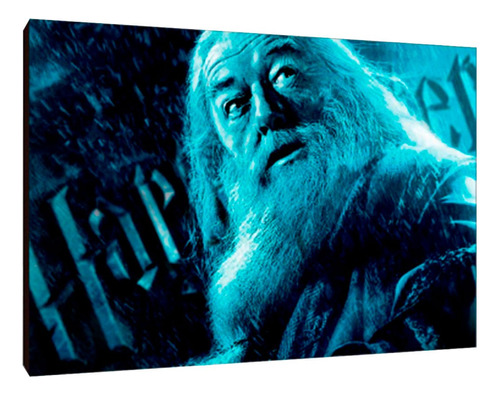 Cuadros Poster Harry Potter Dumbledore Xl 33x48 (mre (3))