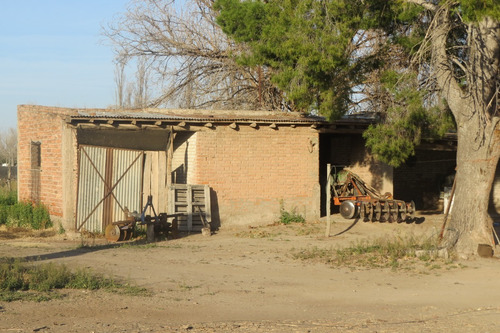 Imagen 11 de 12 de Vendo Finca 25 Hectareas En Colonia Elena San Rafael Mendoza