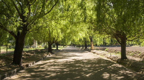 Lotes En Conjunto Residencial Privado 4 Elementos