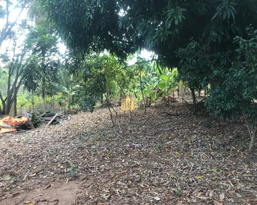 Imagem 2 de 29 de Sitio No Bairro Caracois - Esmeraldas - St00008 - 32612131