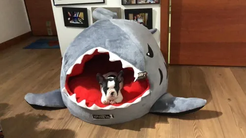 Cama Para Perro Gato Iglu Tiburon M