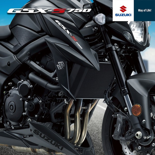 Suzuki Gsx S750 A