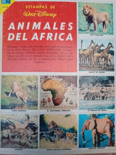 Album Libro De Oro #16 Disney Animales De África 1958 Novaro