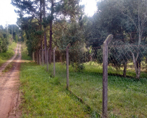 Chácara 2.500 M² - Morungava - Gravataí - Rs - 1487 - 32420008