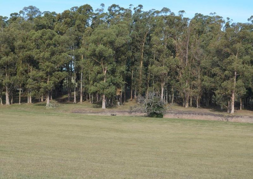 Imagen 2 de 4 de Terreno - El Quijote