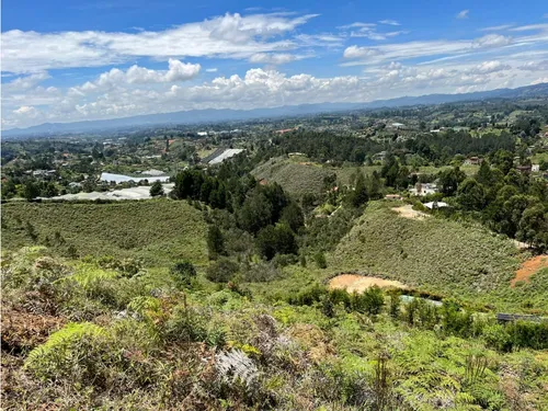 Rhbr-14483 (lote) (guarne)
