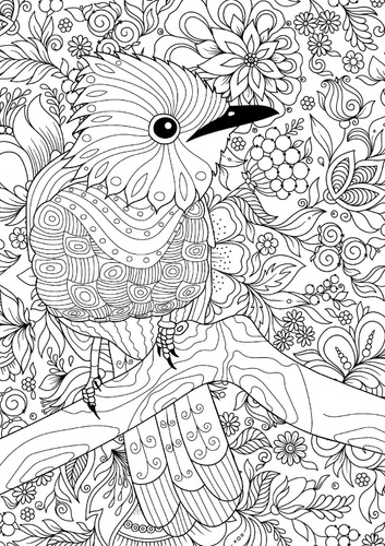 Australian Natives | Libro Anillado Colorear Pintar | Thoc