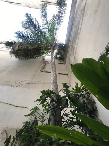 Imagen 7 de 25 de Casa En Lote Propio, Pb + 2 Pisos - Chalet Cochera