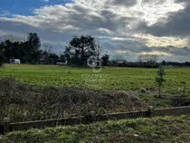 Comprar Rebajada !!!! Parcela En Frutillar Costado Ruta 5