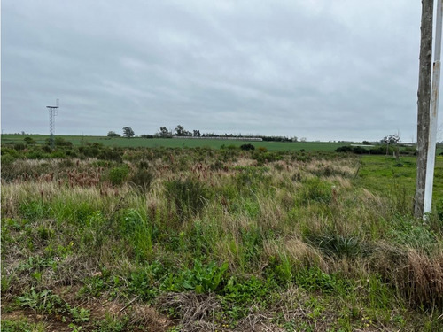 Vendo Lote De 1 Hectárea En San Justo, Entre Ríos.