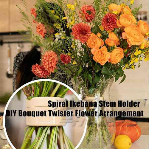 Soporte En Espiral Para Tallos De Ikebana, 2 Piezas,