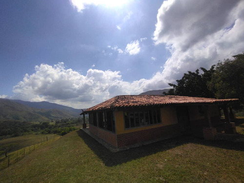Vc Hacienda Chirgua Carabobo Tierras Propias Solo Clientes