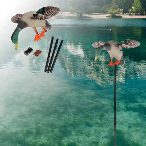 Pato Chamarizes De Caça Isca Engrenagem Mallard Drake Pato