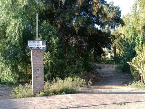 Venta De Lote, Ruta Provincial 34, Lavalle, Mendoza.