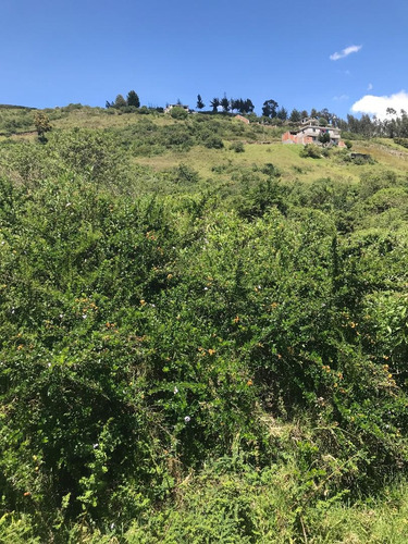 Lindo Terreno Conocoto Alto Cerca A Princesa Toa