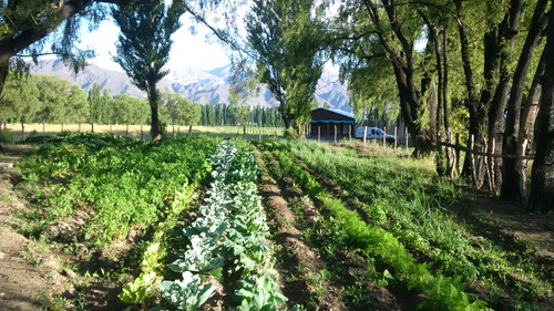 Fracción De Terreeno De 1ha3617m2 En Uspallata - Mendoza-