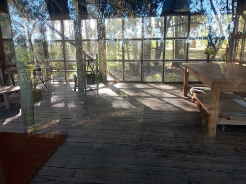 Chacra En Oportunidad Zona Jose Ignacio - Ref: 217418