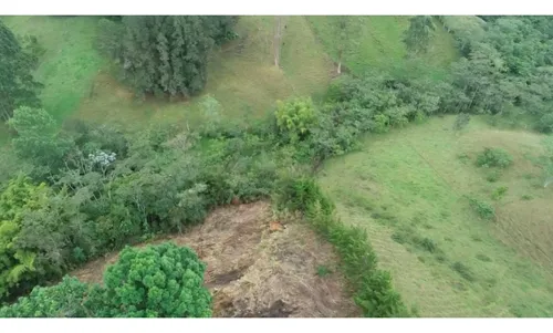 Lote Independiente Rionegro Vereda Ojo De Agua