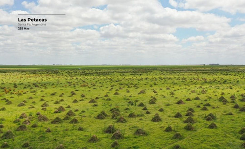 Campo De 255 Hectáreas En Las Petacas, Santa Fe