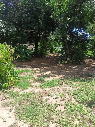 Terreno En Centro De Guacara Calle Mariño Nueva Captación (att- ) Mtam