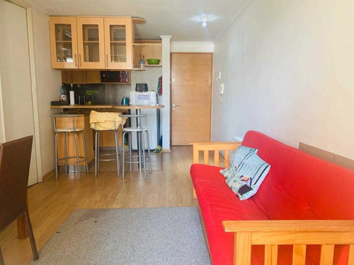 Cómodo Departamento 1 Dormitorio A Pasos Metro Salvador
