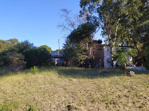 Cod 338 Lote Corbeta Cefiro