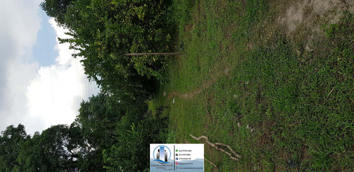 Imagem 13 de 30 de Chácara Em Parque Capivari, Duque De Caxias/rj De 100000m² 2 Quartos À Venda Por R$ 500.000,00 - Ch596274-s
