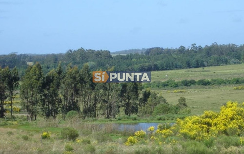 Imagen 2 de 4 de Campo En Venta - Ruta 104
