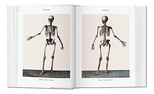 Bourgery. Atlas De Anatomía Humana Y Cirugía