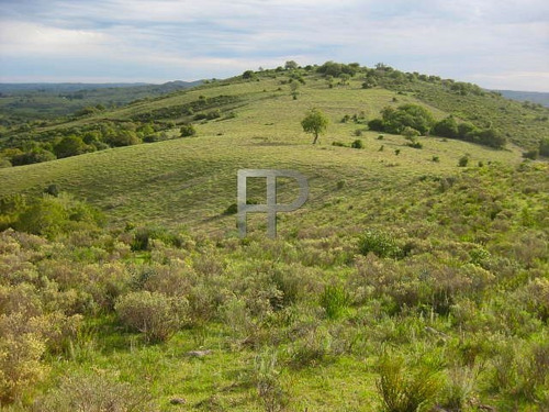 Imagen 3 de 3 de Campo En Venta Pueblo Edén 36 Hectáreas