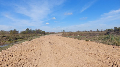 Imagen 5 de 6 de 2 Hectareas En Venta Frente A Arroyo Baltazar, Villa Paranacito