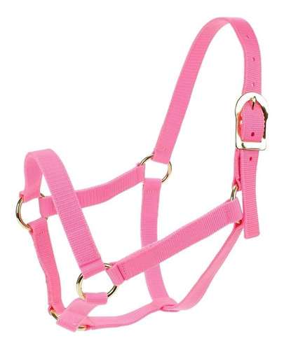 Cabresto Importado Em Nylon Rosa Com Regulagem - Kauana 1496