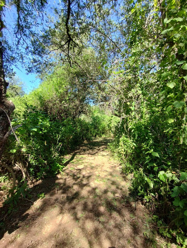 En Venta Espectacular Lote Arbolado De 4000 M2 | Villa De Las Rosas | Escritura Y Servicios