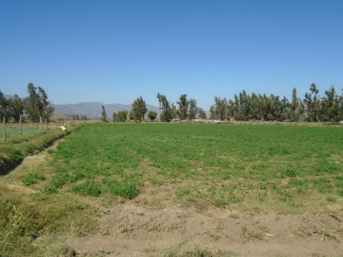 Se Vende Paño 17 Has. Totalmente Plano En Camino El Toro
