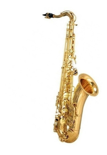 Saxo Alto De Estudio Ocean Oas190 + Boquilla Estuche Correa