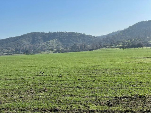 Agrícola En Venta En San Pedro, Melipilla