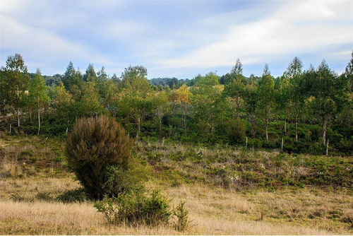 Imagen 14 de 30 de Parcela Disponible - Chiloe