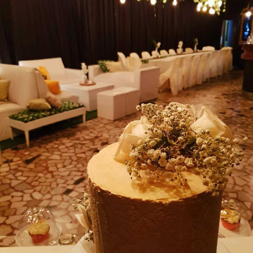 Imagen 5 de 10 de Salón De Fiestas Y Eventos 15,cumpleaños, Despedidas Y Bodas