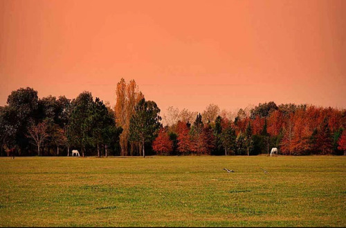 Oportunidad(retasado)venta Lote El Campo Cardales
