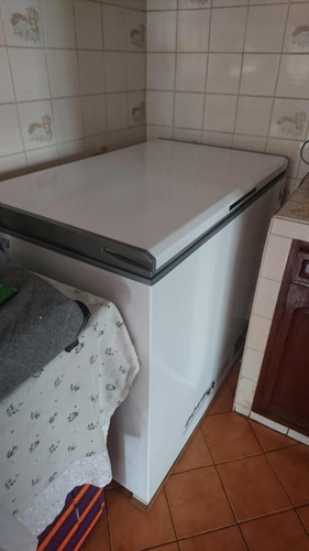 Congeladora Coldex 271 L