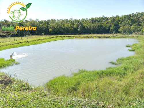 Imagem 2 de 15 de Fazenda À Venda Em Corguinho - Ms - De 207 Hectares (pecuária) - 1776