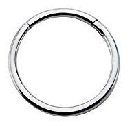 Aros - 316l Surgical Steel Segment Nose Ring Hoop 1-4  - 6mm