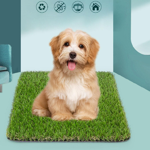 Almohadilla Para Orinar De Cachorro, 3 Cm De Altura